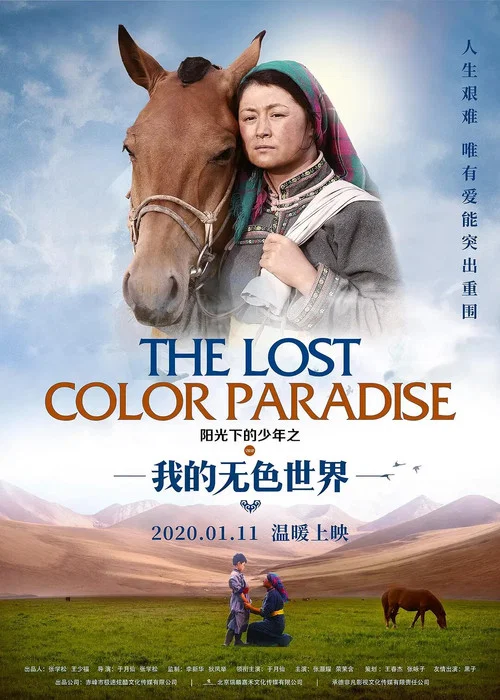 陽光下的少年之我的無色世界(2020)海報