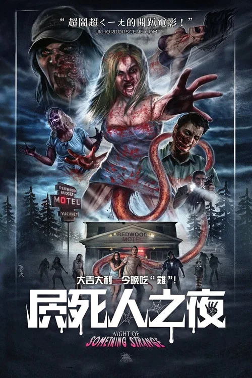 奇怪的夜晚(2016)海報