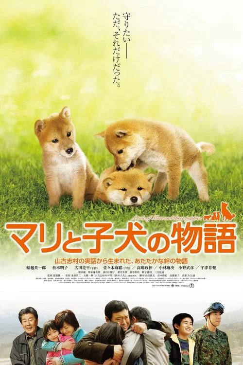愛犬的奇蹟(2007)海報
