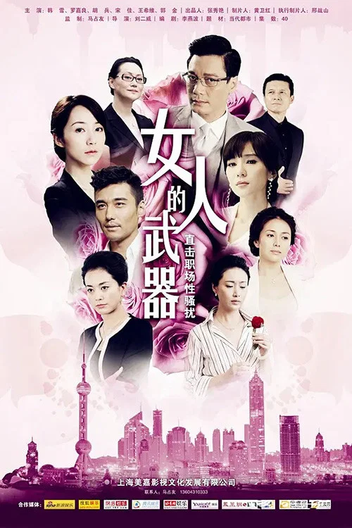 女人的武器(2012)海報