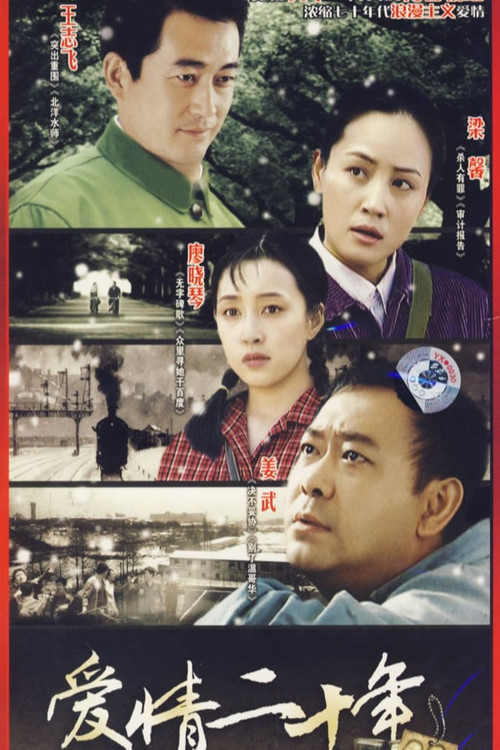 爱情二十年(2007)海报