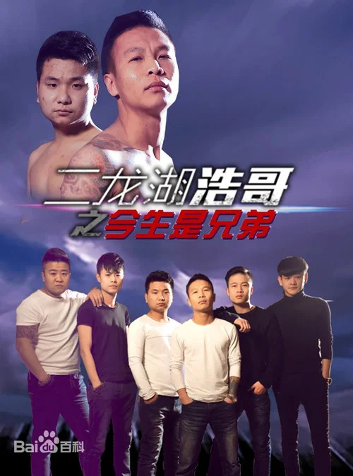 二龍湖浩哥之今生是兄弟(2014)海報