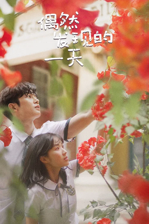 偶然發現的一天(2019)海報