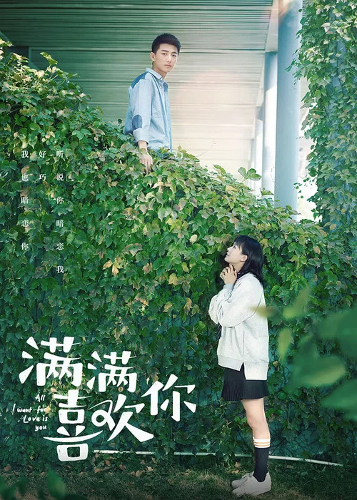 满满喜欢你海报