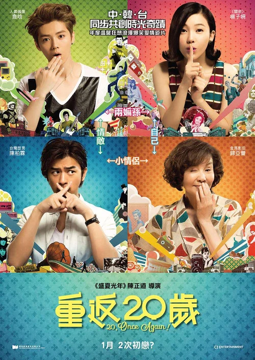 重返20岁(2015)海报