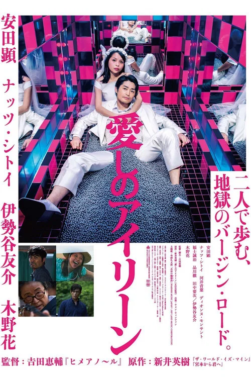 親愛的艾琳(2018)海報