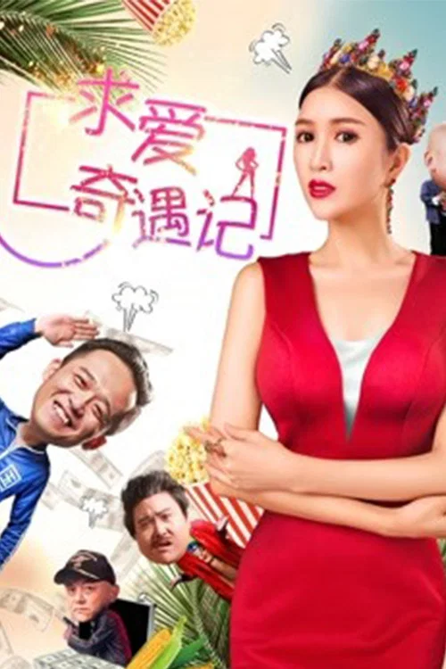 求爱奇遇记海报