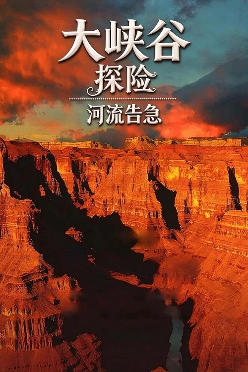 大峽谷探險之河流告急(2008)海報