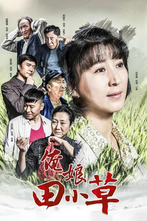 俺娘田小草(2015)海報
