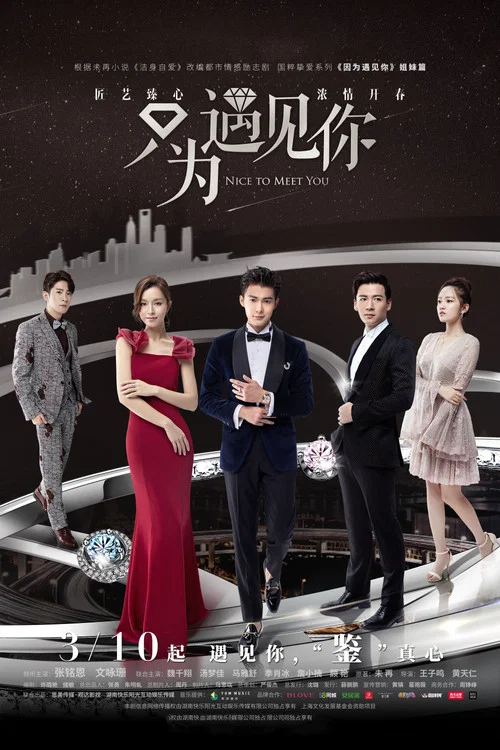 只為遇見你(2019)海報