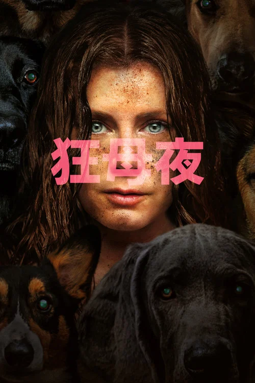 夜母(2024)海報