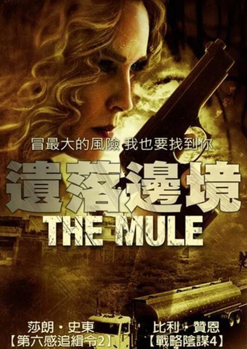 边境执行(2012)海报