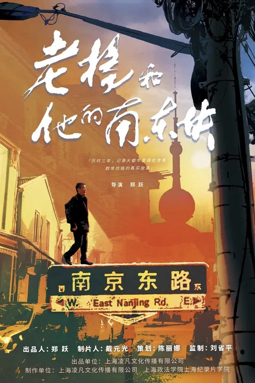 老杨和他的南东块(2024)海报