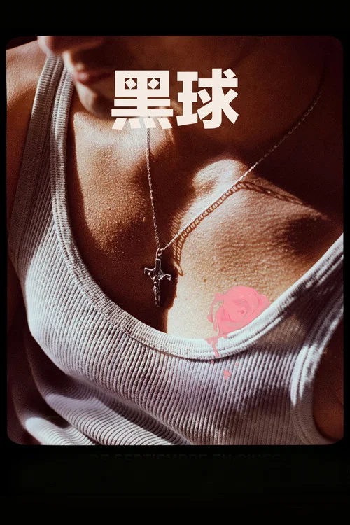 黑球剧照11