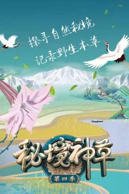 秘境神草 第四季剧照4