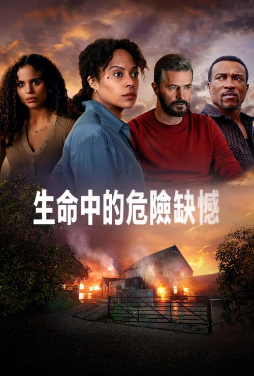 生命中的危險缺憾(2025)海報