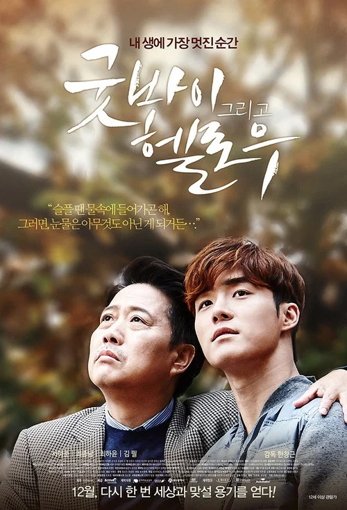 再見,你好(2015)海報