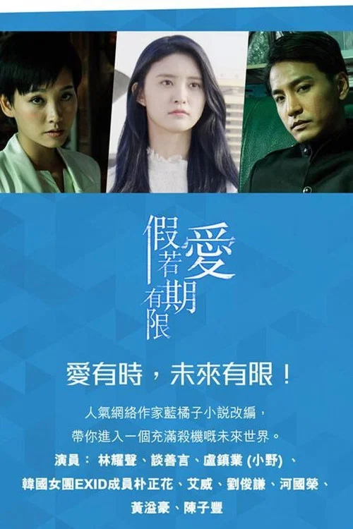 假如愛有期限(2018)海報