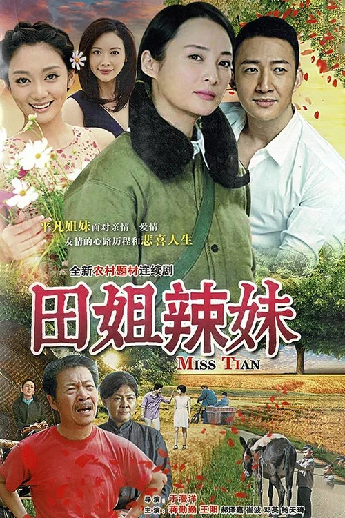 田姐辣妹(2017)海報