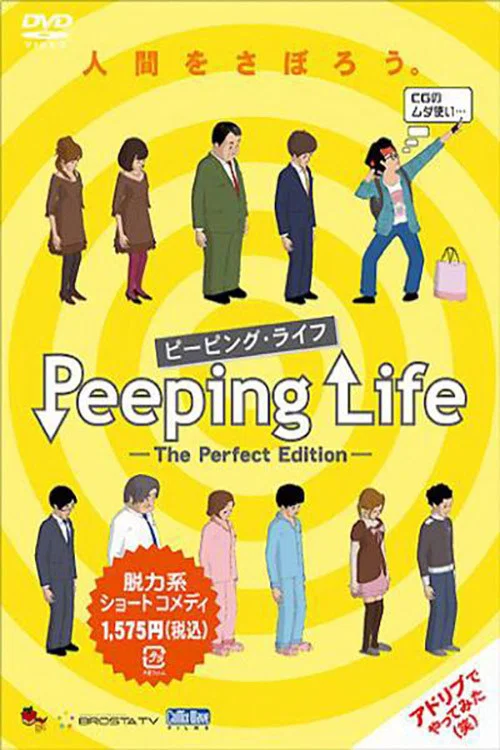 窺探人生(2009)海報