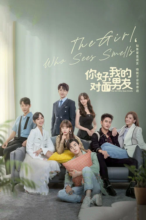 你好,我的对面男友海报