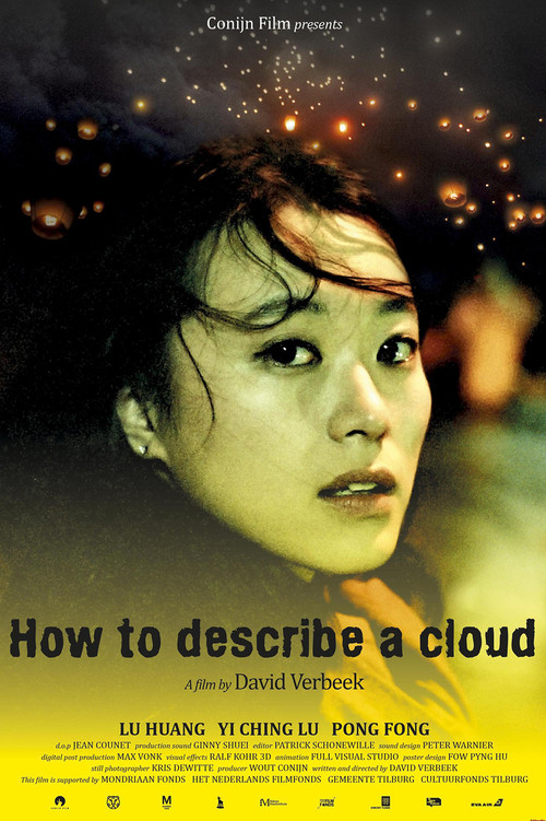 雲的模樣(2013)海報