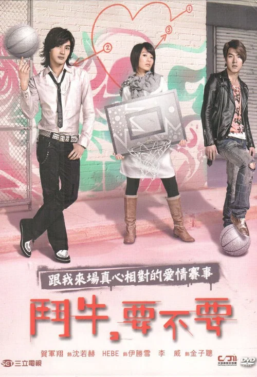 鬥牛要不要(2007)海報