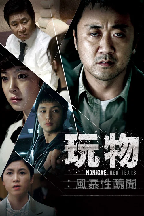 玩物(2013)海报