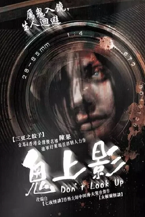 不許向上看(2009)海報