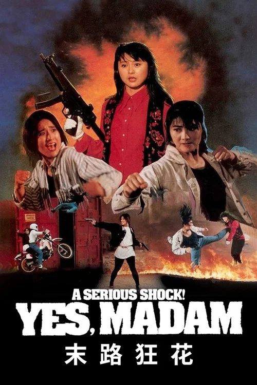 末路狂花1993(1993)海报