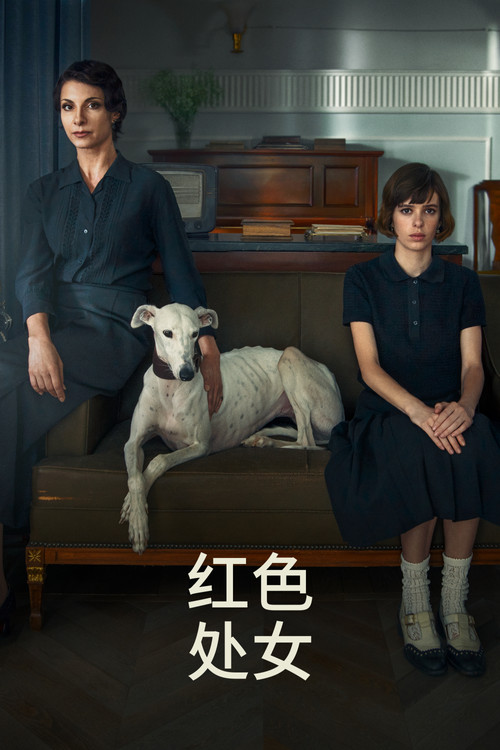 紅色聖女(2024)海報