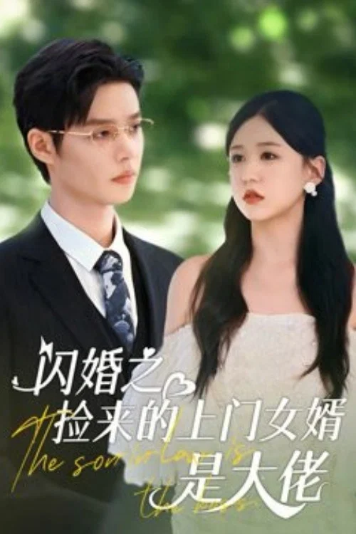 閃婚之撿來的上門女婿是大佬(2024)海報