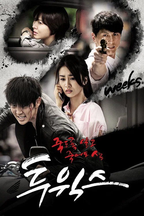 兩週(2013)海報