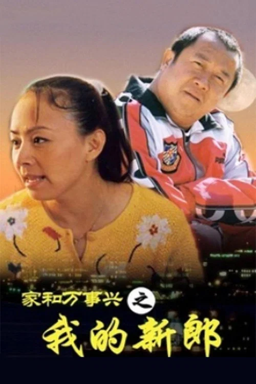 家和万事兴之我的新郎(2002)海报