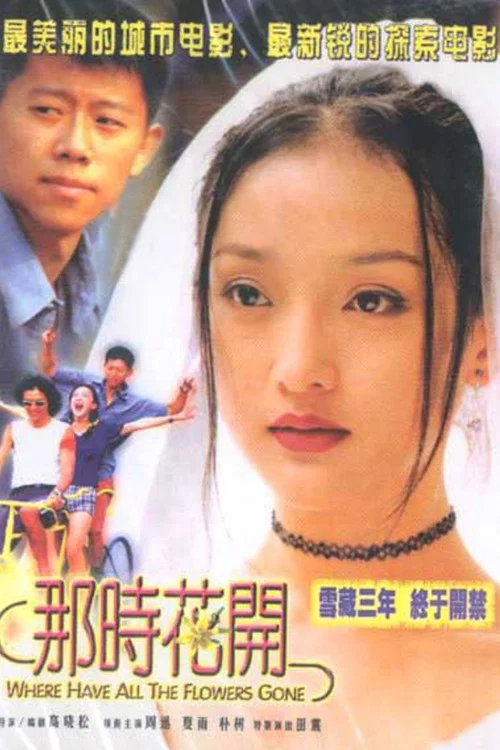 那時花開(2002)海報