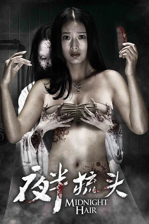 夜半梳头(2014)海报