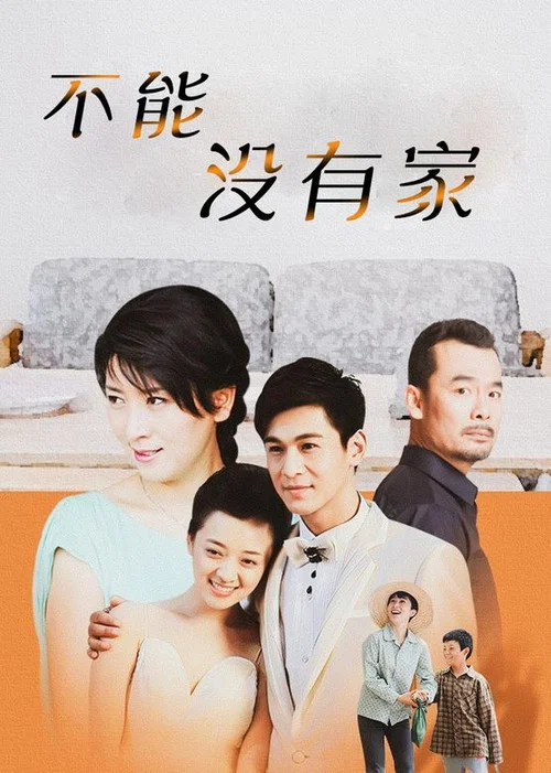 不能没有家(2015)海报