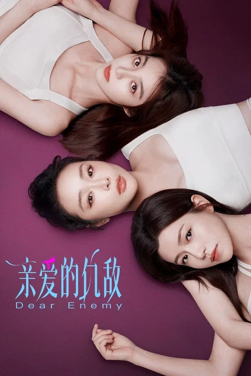 親愛的仇敵(2025)海報