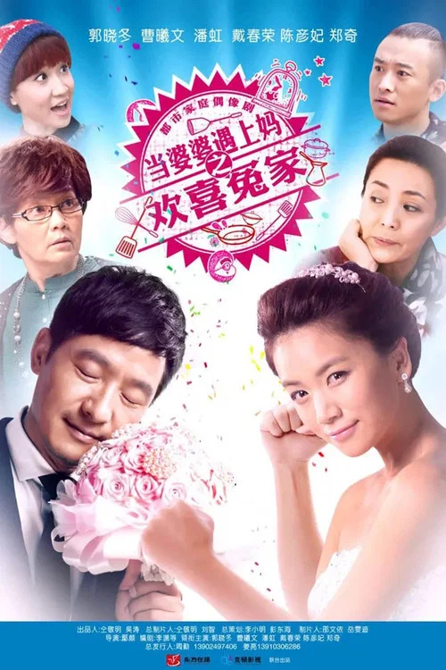当婆婆遇上妈之欢喜冤家(2014)海报