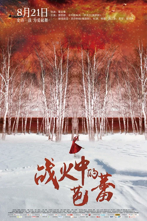 战火中的芭蕾(2015)海报