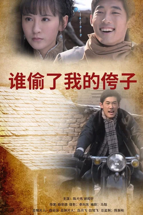 誰偷了我的侉子(2011)海報