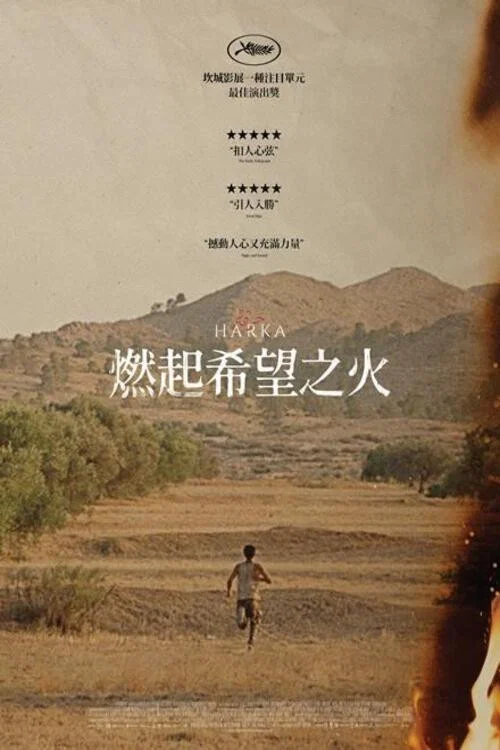 希望之火(2022)海報