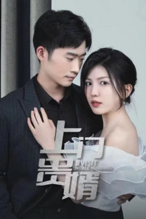上門貴婿(2023)海報