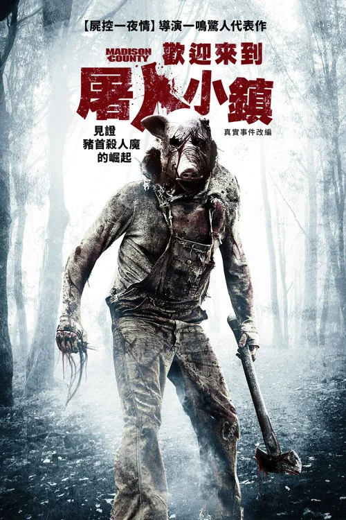 麥迪遜小鎮(2011)海報