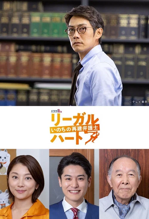 法律之心:重建生命的律師(2019)海報