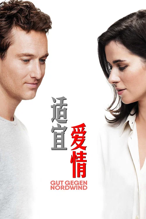 適宜北風(2019)海報