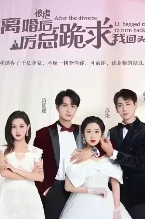 被虐離婚後,厲總跪求我回頭(2023)海報