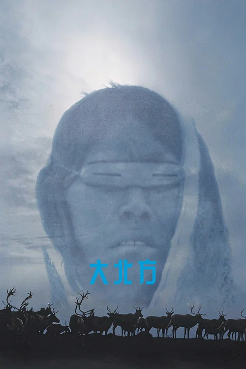大北方(2001)海报