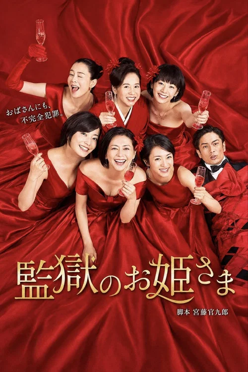 监狱的公主大人(2017)海报