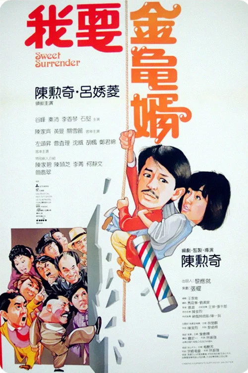 我要金龟婿(1986)海报